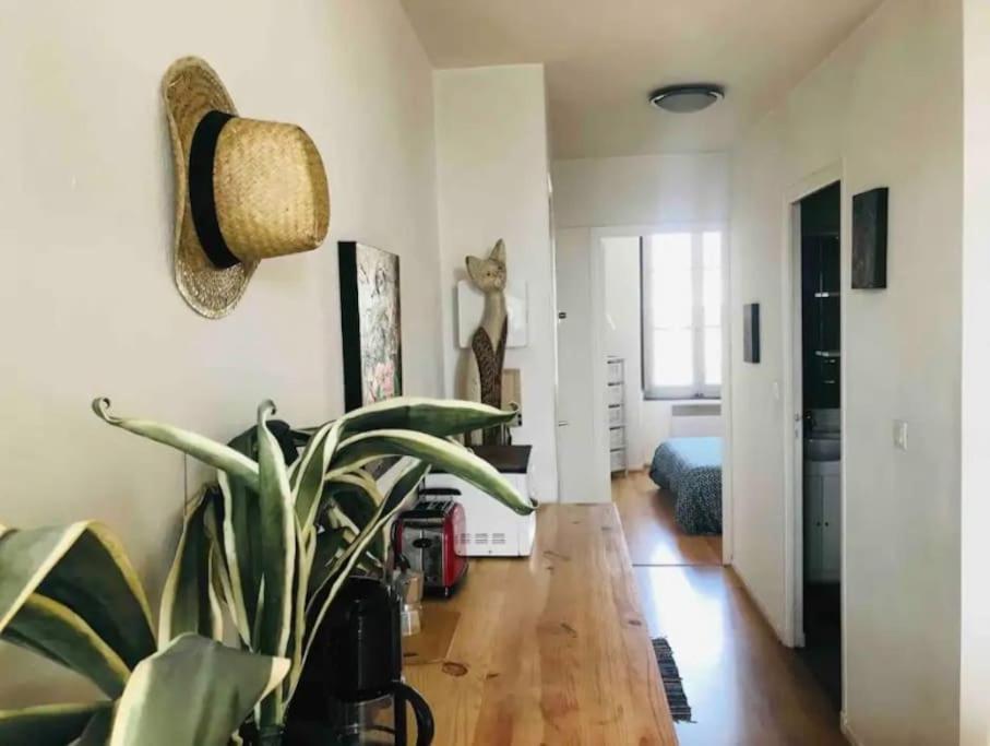 Appartement T2 Avec Vue Chateau カルカソンヌ エクステリア 写真