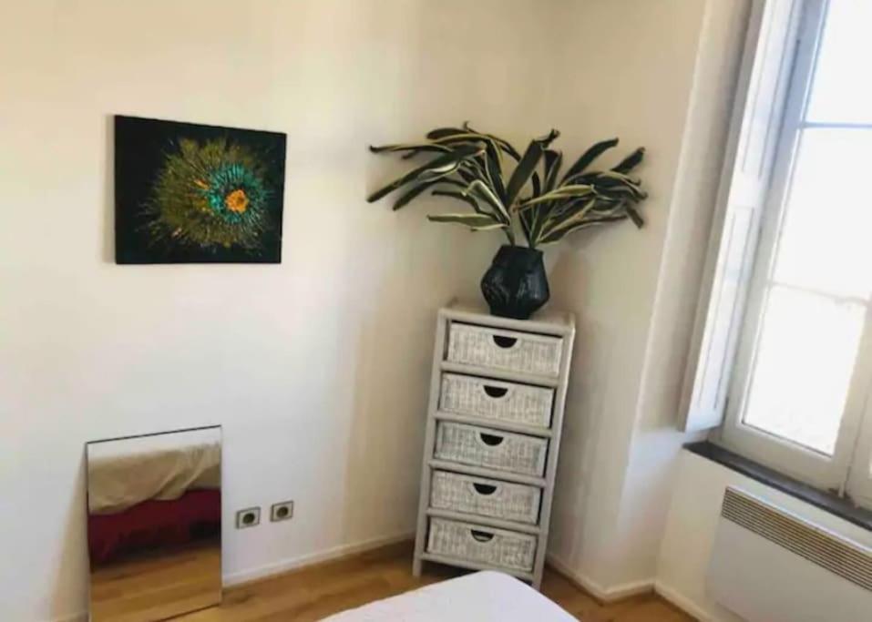 Appartement T2 Avec Vue Chateau カルカソンヌ エクステリア 写真